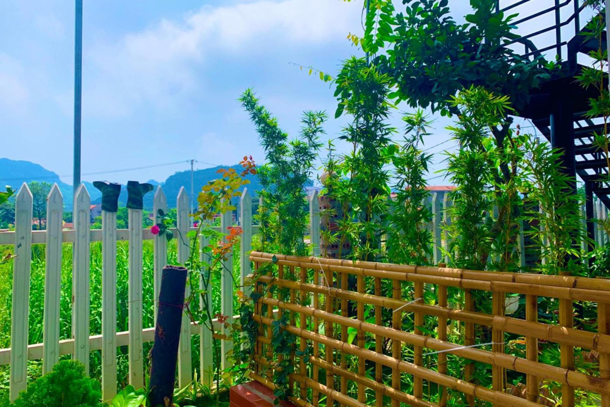 The Pineapple House Bed & Breakfast Ninh Binh Bagian luar foto